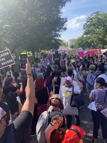 Women's March Posters and Crowd