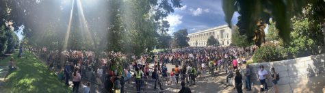 Panorama of the crowd