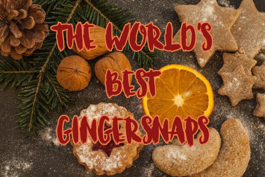 Day Eleven of Breezemas: The Best Ginger Snaps You'll Ever Eat