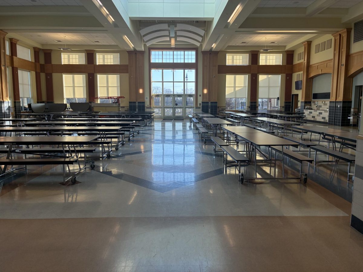 School Lunch Reviews